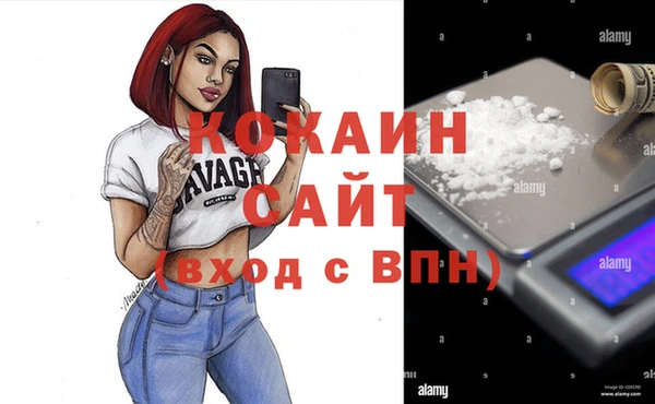 дмт Лиски