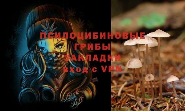 дмт Лиски